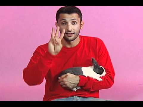 Kindness Animals - Hurray for Baba Ali - Video 8