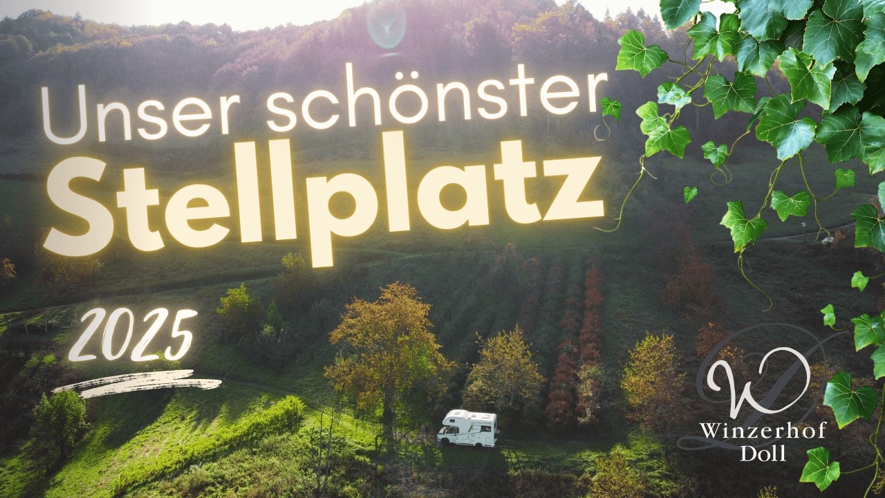 Winzerhof Doll: Ist der Wohnmobilstellplatz die schwierige Anfahrt  wert?