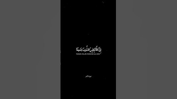 سورة الزمر بتلاوة الشيخ ماهر المعيقلي #قرآن_كريم #سورة_الزمر #الشيخ_ماهر_المعيقلي #fyp