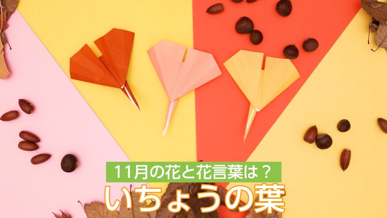 11月の花と花言葉は 折り紙イチョウ Youtube