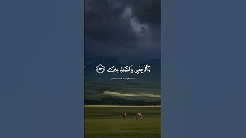 سورة الشعراء (٧٨-٨٩)🤍