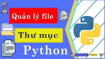 Quản lý file và thư mục trong Python | Python người mới bắt đầu | NT Software