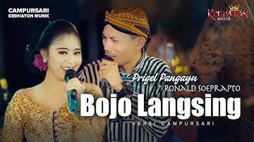 Prigel Pangayu ft. Ronald Soeprapto - Bojo Langsing - Kedhaton Musik Campursari | Music Video