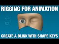 Eyelid Rig - Shape Keys | Blender Rigging For Animation