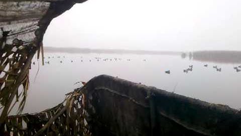 homemade duck decoy