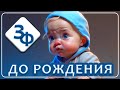 Жизнь между жизнями | Ваши истории #31