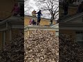 David&#39;s giant leaf pile jump 2022