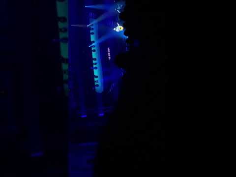 190113 버즈 콘서트 thank you 개인곡 to fan