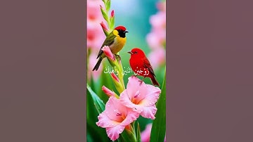 القرآن الكريم سورة هود من الآية 39- إلى الآية 41