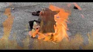 The Death of Baby Yoda