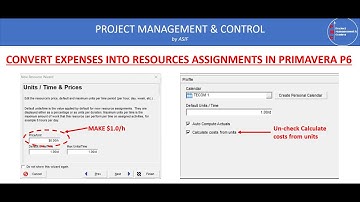 Convert Project Expense into Resources in Primavera P6 with Helpful tips