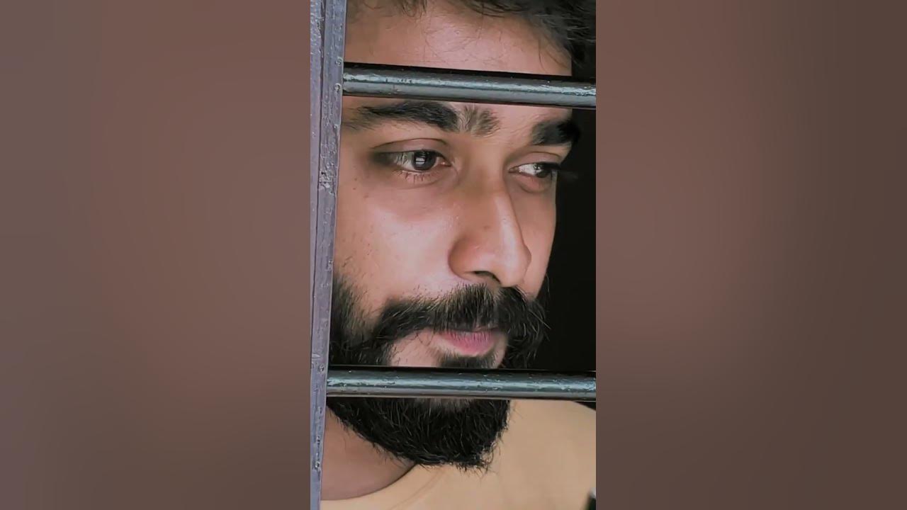 Annul Maele Pani | Suriya | Vaaranam Aayiram