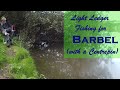 Ledger Fishing for Barbel – A Rising River – Late Summer