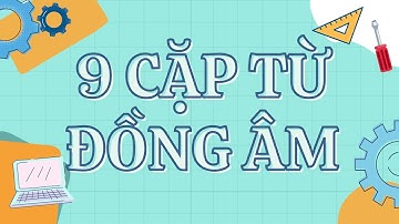 Các cặp từ song sinh - Đồng âm khác nghĩa ⁉️