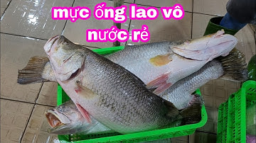 Chợ cá biển nhiều hạ giá mực rẻ.bạn hàng canh xổ buổi sáng mới đi mua?