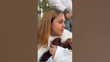 شوفو العروسه الملعونه عملت اي في شهد 
