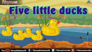 Jack & Jill Rhyme ~ Five little ducks | English Popular Nursery Rhymes For Kids