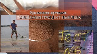 видео: Крымская артемия. Повышаем процент выклева. картинка: Крымская артемия. Повышаем процент выклева.