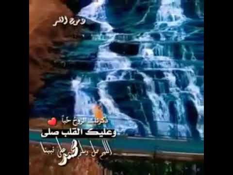 ذكرتك الروح حبا وعليك القلب صلى الله عليه وسلم