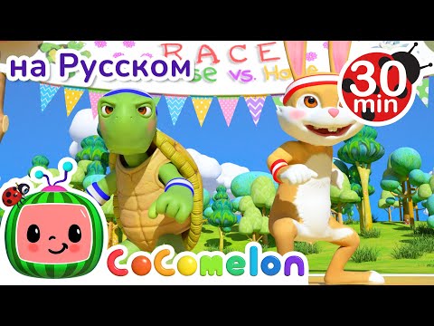Гонки Черепахи И Зайца | 30 Минут | Cocomelon На Русском  Детские Песенки | Мультики Для Детей