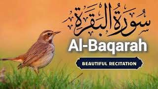 Surah Baqarah | Al Baqarah | Surah Al Baqarah | Quran