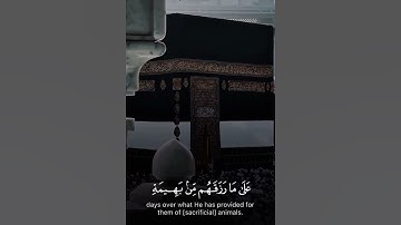 الشيخ محمد بن اسامة | سورة الحج