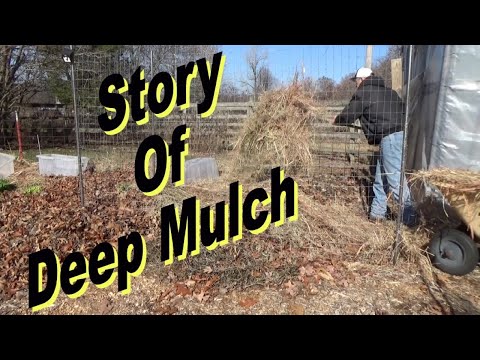 Video: Deep Mulch Gardening Info
