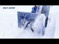 Ace Series 24-Inch 2-Stage Gas Snow Blower