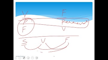 SQL Server Interview Questions in Amharic  part 2 View Vs Functions