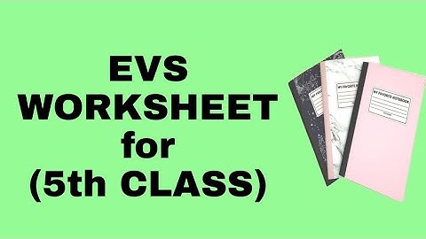 EVS Worksheet || Class 5th