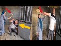 Nomadic Life 🔧 Rust-Proofing Doors & Windows 🎨 | Credit Purchases & Hamid's Block Wall 🧱🇨🇳
