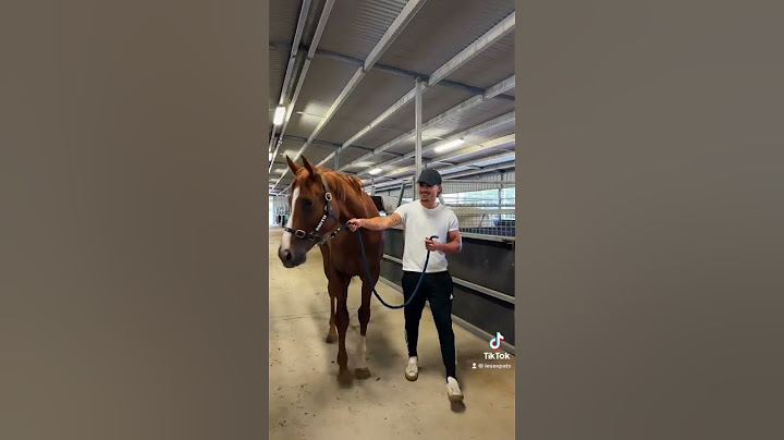 De toute façon, on peut rien y faire… #ranch #chevaux #australie #pvt