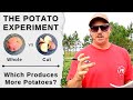The Great Backyard Potato Experiment | Planting Whole vs Cut Potatoes