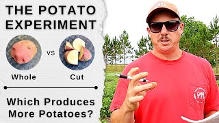 The Great Backyard Potato Experiment | Planting Whole vs Cut Potatoes