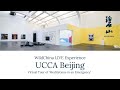 WildChina Live Experience | Virtual tour of UCCA Beijing's 'Meditations in an Emergency'