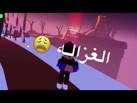 العزلة رايقه