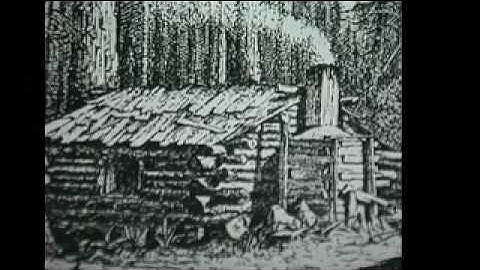 History of Trees in Portland, OR