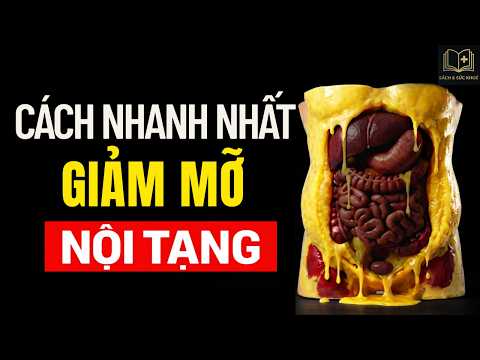Giảm Mỡ Nội Tạng Theo Khoa Học — Cách Làm Hiệu Quả Và Bền Vững
