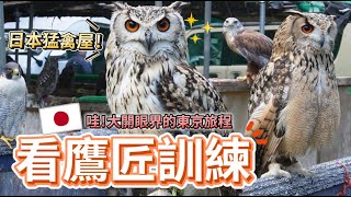 日本鷹匠如何訓練？東京猛禽屋超多貓頭鷹！日本猛禽祭住宿開箱，日本vlog全紀錄 | 波氏家族 popofamily