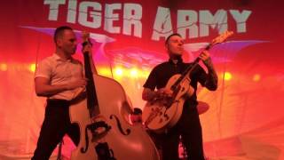 6 - Pain - Tiger Army (Live in Raleigh, NC - 3/04/16)