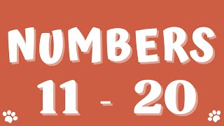 Numbers 11-20 - Listen and Pronounce