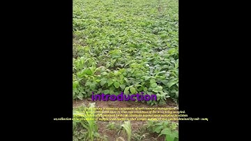 demo on collection and preparation of soil sample  #agriculture #soil # rawe