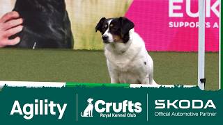 Partially sighted Susie delicately makes her way round the agility course