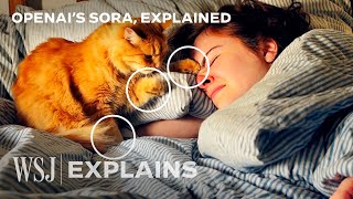 OpenAI’s Sora: How to Spot AI-Generated Videos | WSJ