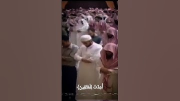 #سورة_آل_عمران الشيخ #ياسر_الدوسري #قرآن #القرآن_الكريم