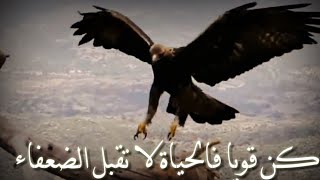 كن قويا فالحياة لا تقبل الضعفاء.   اقرا۽ الوصف مهم 👇