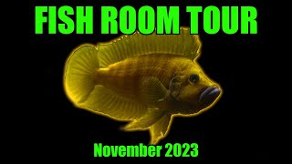 Tanganyikan Cichlids  Fish Room Tour