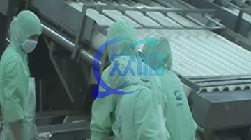 Shrimp Grading Machine, shrimp grader, shrimp sorting machine, shrimp sorter, shrimp sizing machine