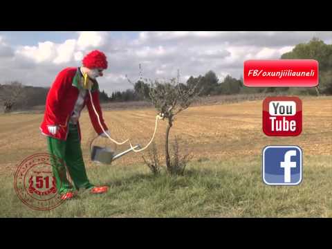 სვანმა სტუდენტმა თავის ჩამოხრჩობა გადაწყვიტა