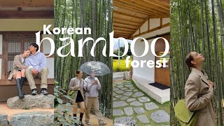 Korean Countryside Vlog ☕ damyang bamboo forest, aesthetic mountain cafes & amazing food | Sissel